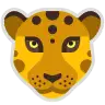 A gepárd