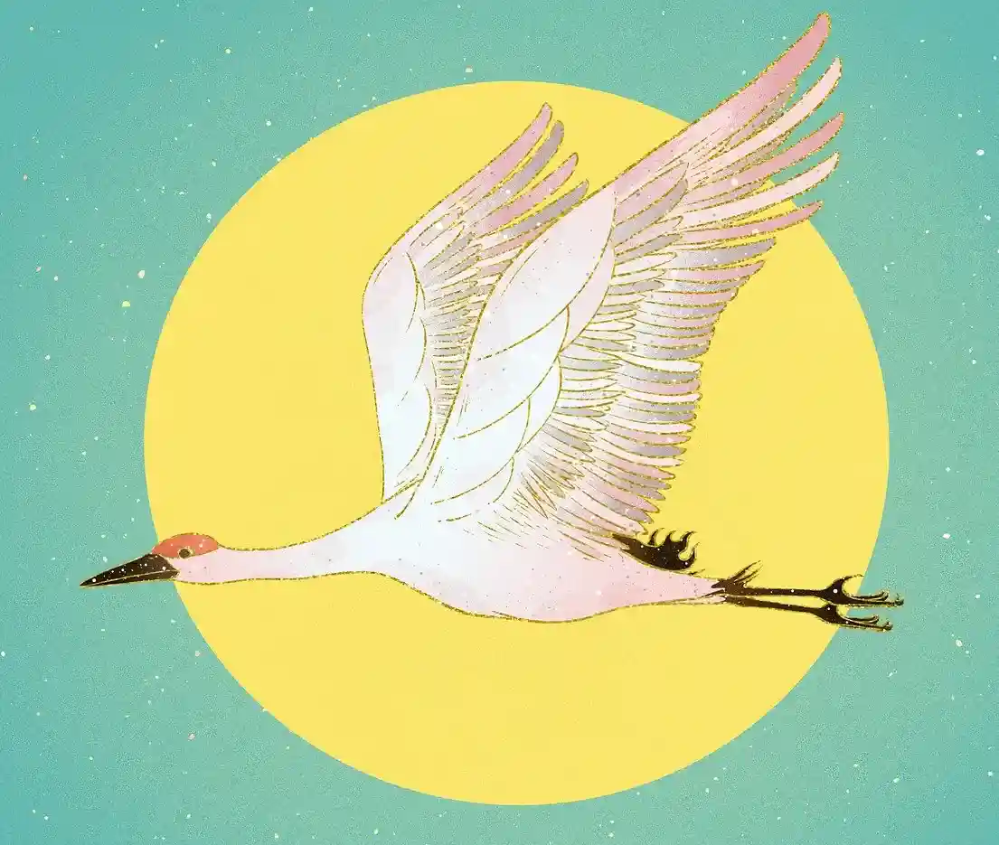 愚木混株 Cdd20's illustration