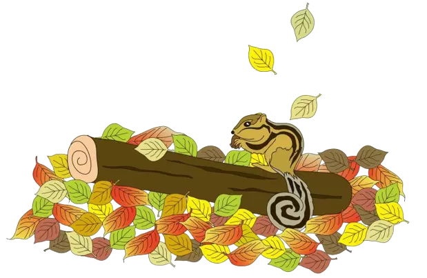 Pixabay Illustration