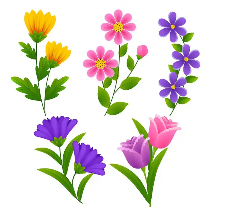 Freepik Illustration